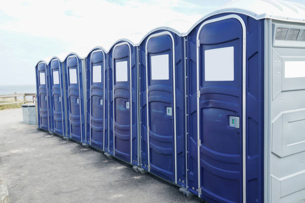 Best Portable Toilets with Baby Changing Stations in USA